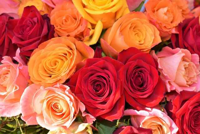 Frescura y Belleza a Tu Puerta: Flores a Domicilio CDMX con Bon Gout Floristería