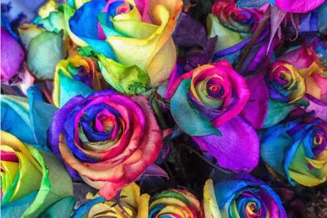 Color de las Flores