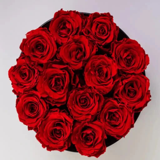 Categoria de Rosas