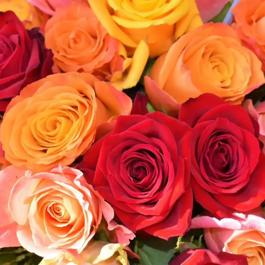 Aquí te presentamos algunas opciones más populares de los productos mas vendidos de arreglos florales. Las rosas son una de las flores más populares para los arreglos florales debido a su belleza y elegancia.