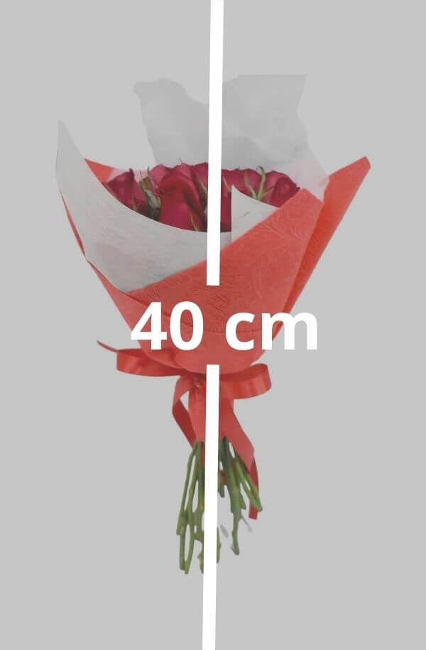 Ramo con 16 Rosas papel y moño #color_Rojo