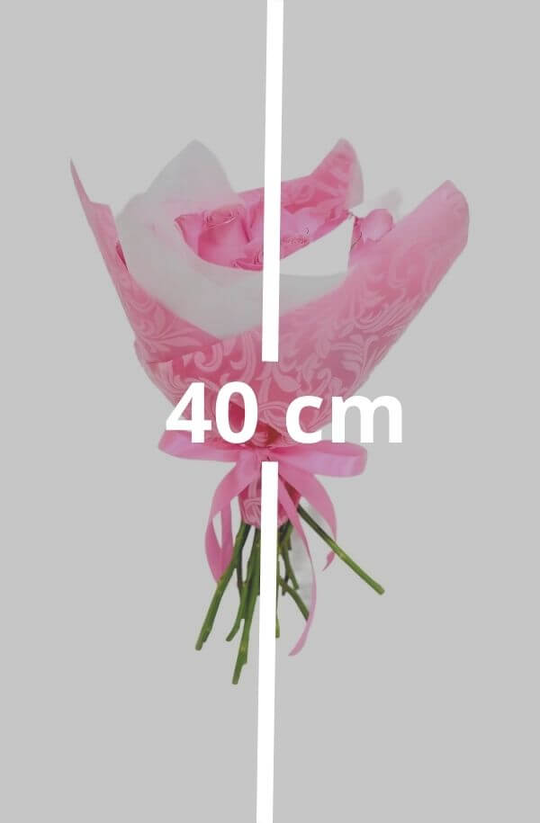 Ramo con 16 Rosas papel y moño #color_Rosa