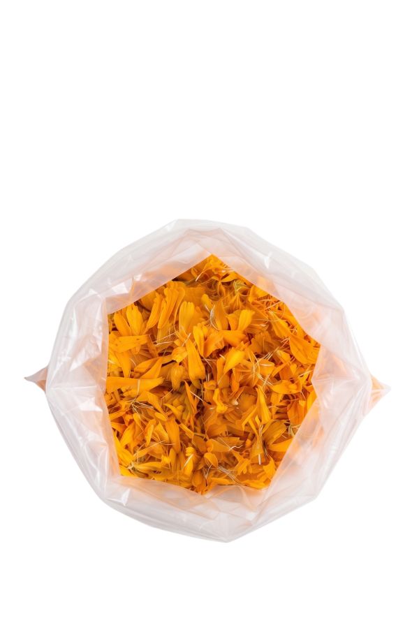 Bolsa_Cempasichtl
