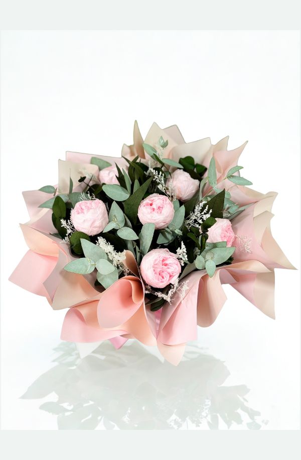 Cajade6peoniasrosaclaro