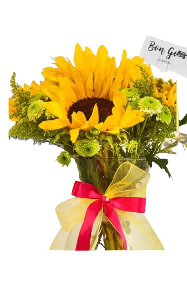 Folorero de Girasoles