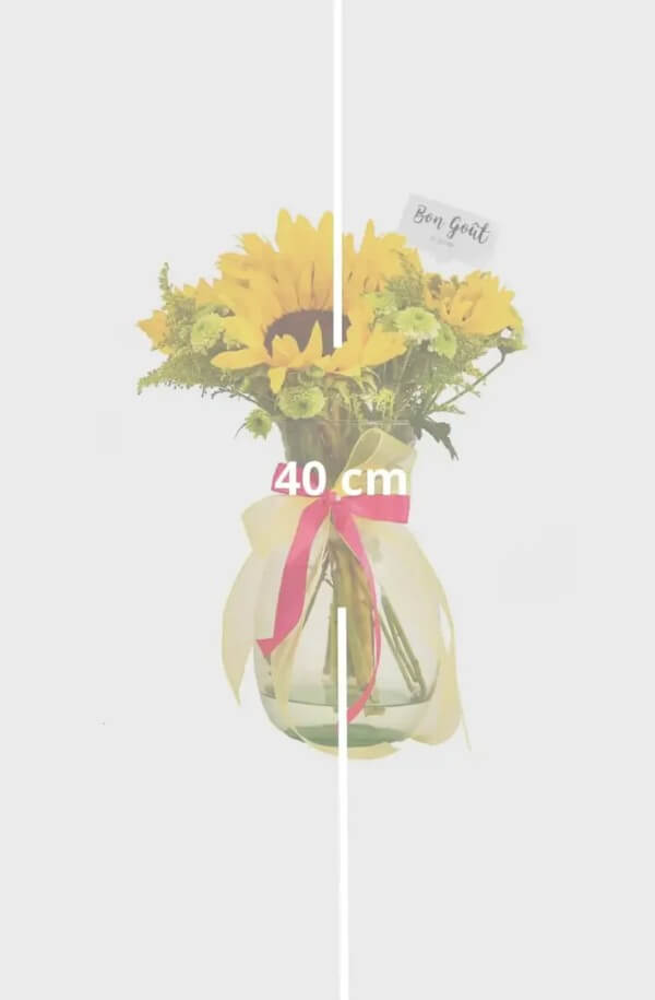 Folorero de Girasoles