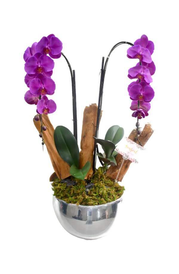 Orquidea de Cascada Morada de 2 Varas y base acabado Espesjo #Color_Morado