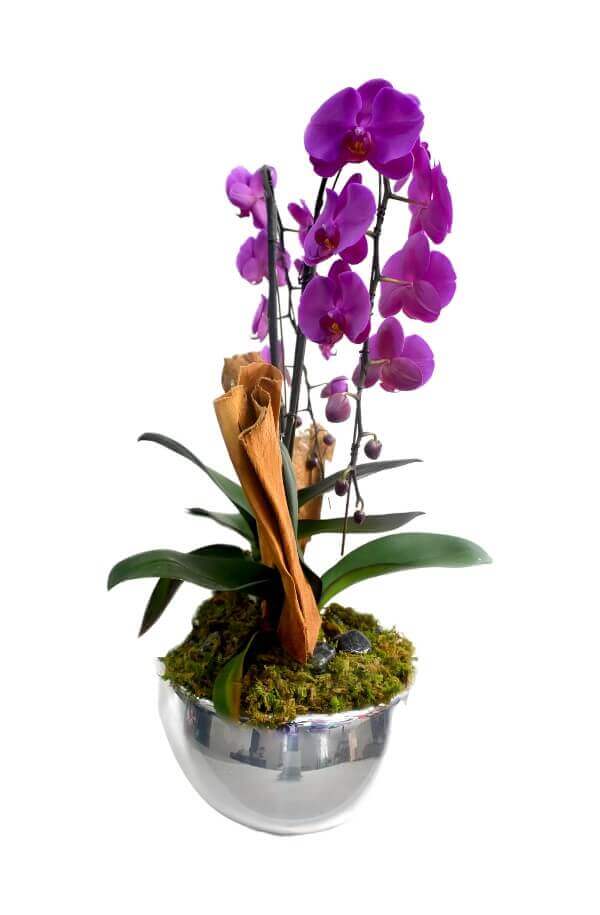 Orquidea de Cascada Morada de 2 Varas y base acabado Espesjo #Color_Morado