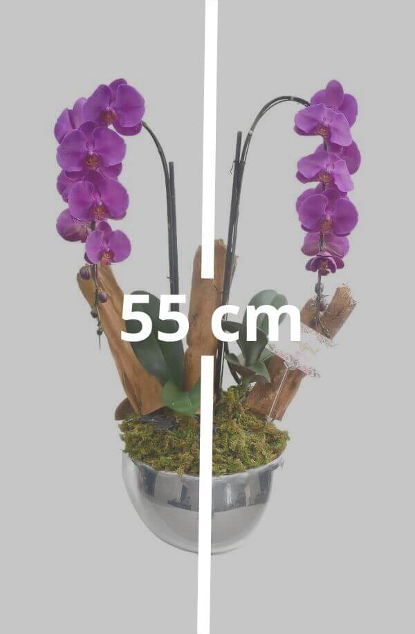 Orquidea de Cascada Morada de 2 Varas y base acabado Espesjo #Color_Morado