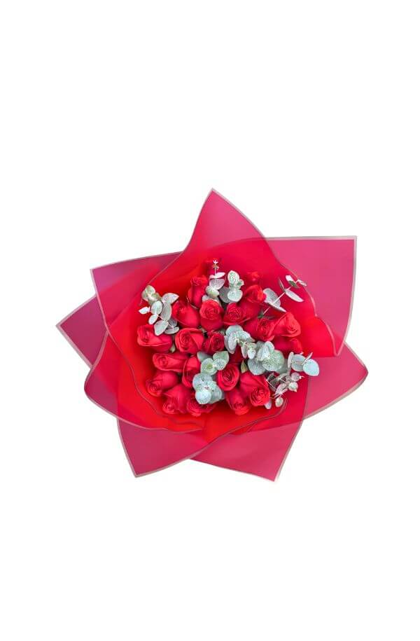 RamoRosasRojaspapelRojoydolar