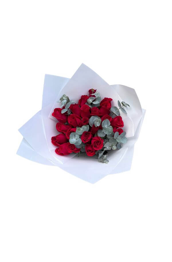 RamoRosasRojaspapelblancodola