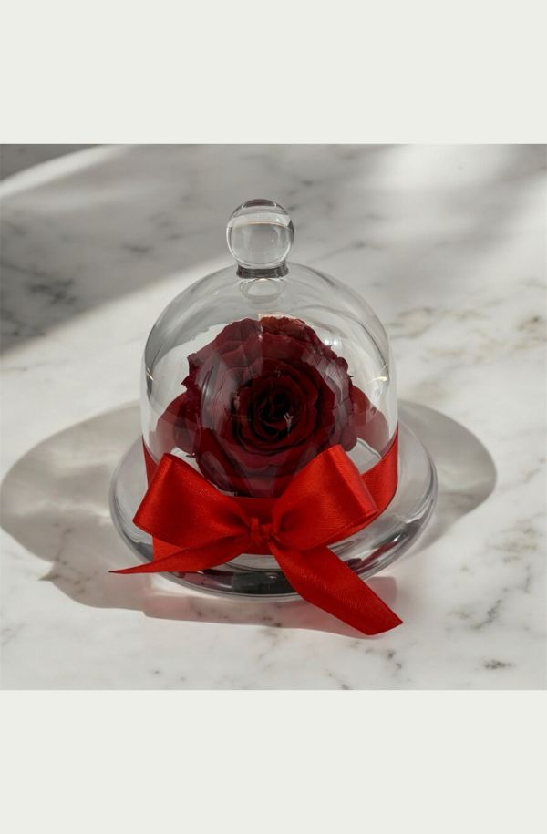 Rosa Eterna En Estuche De Cristal 100% Natural Preservada