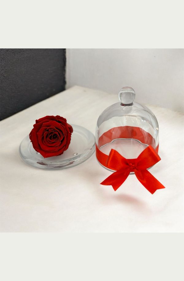 Rosa Eterna En Estuche De Cristal 100% Natural Preservada