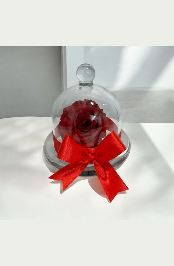 Rosa Eterna En Estuche De Cristal 100% Natural Preservada
