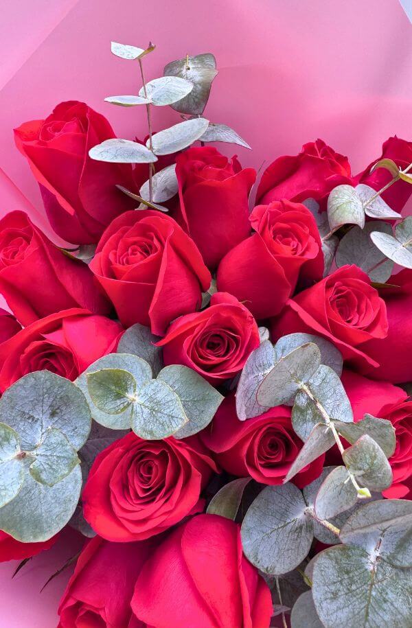 RamoRosasRojaspapelRosaydolar