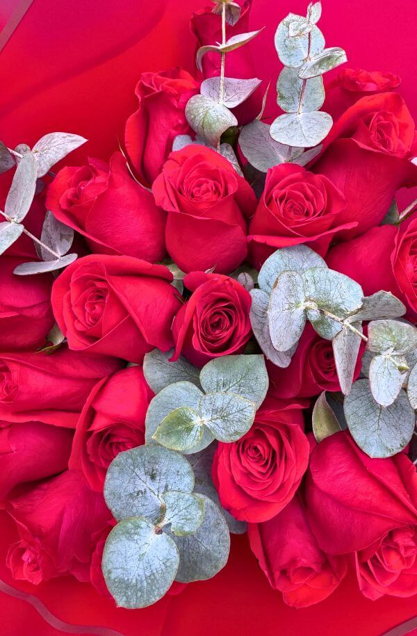 RamoRosasRojaspapelRojoydolar