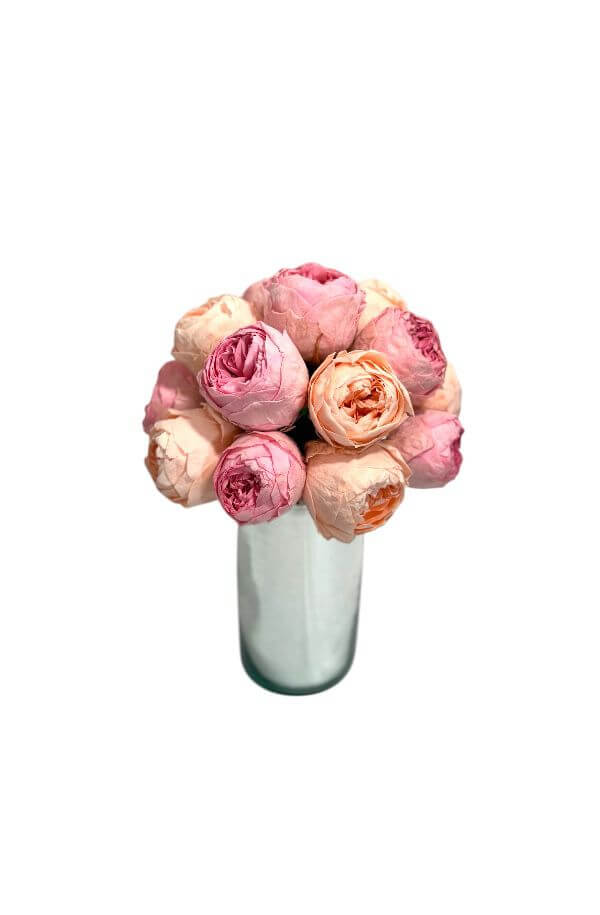 peoniaspreservadas