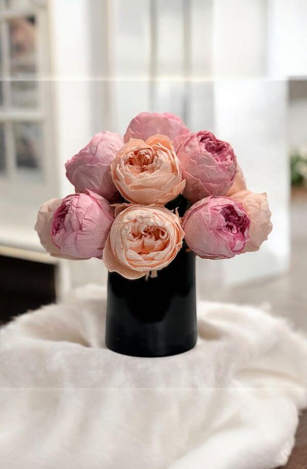 peoniaspreservadasn