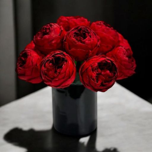 Flores Preservadas Peonias Preservadas