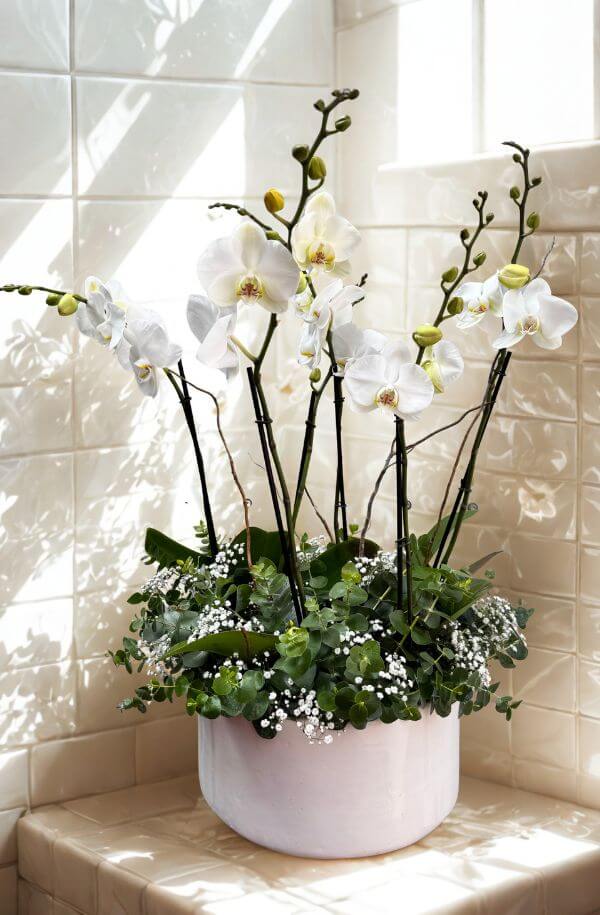 OrquideasBlancas