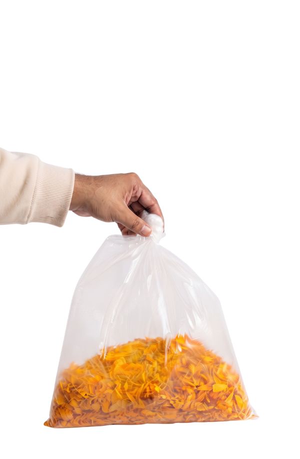 Bolsa_Cempasichtl