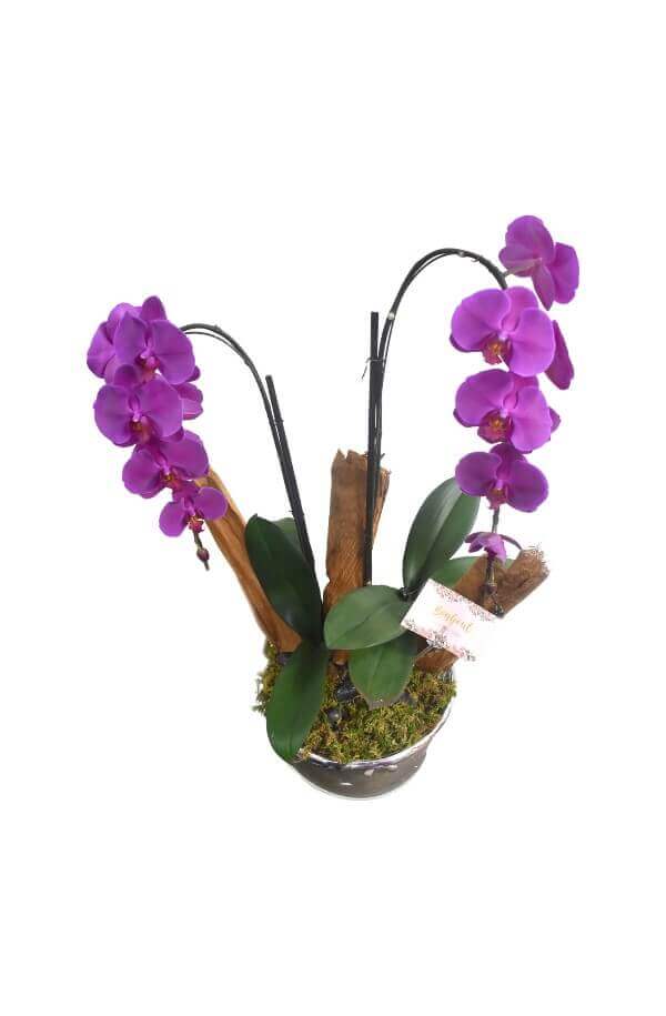 Orquidea de Cascada Morada de 2 Varas y base acabado Espesjo #Color_Morado 