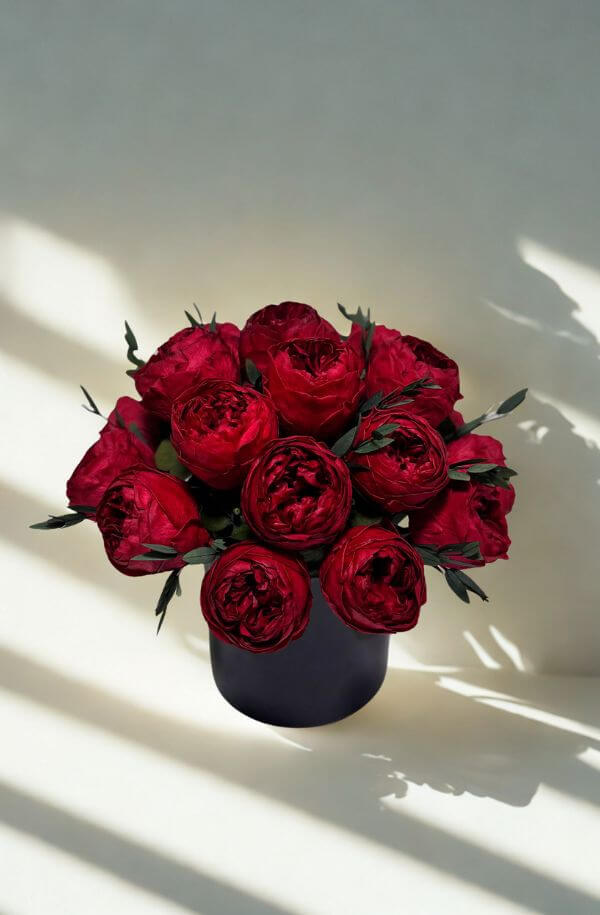 Peonias Rojas 