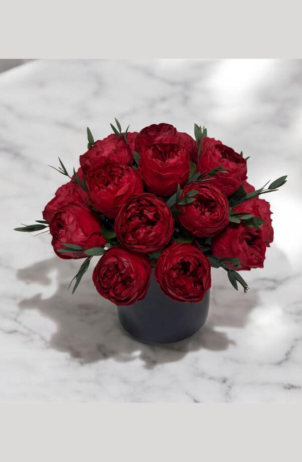 Peonias Rojas 