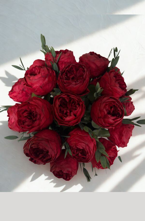 Peonias Rojas 