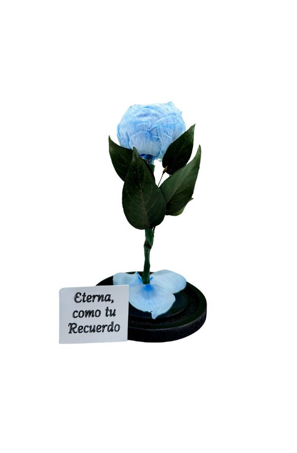 PeoniaAzul