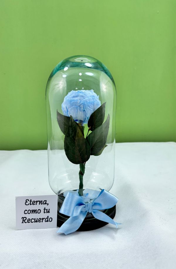 PeoniaAzul