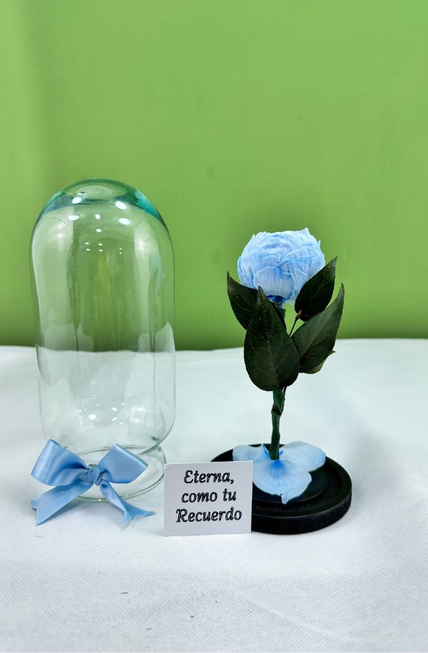 PeoniaAzul