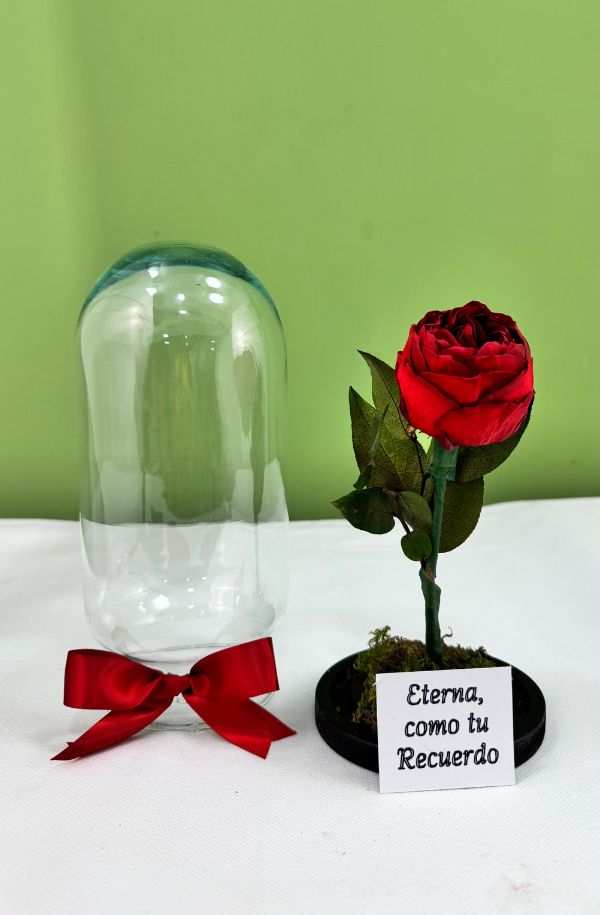 PeoniaRoja