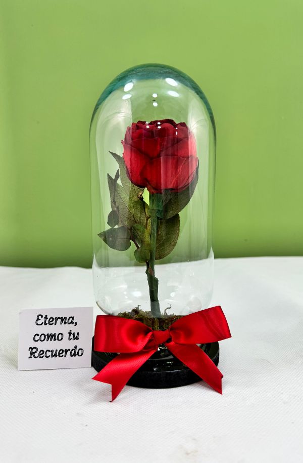 PeoniaRoja