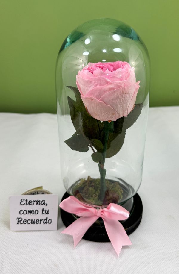 PeoniaRosa_capelo