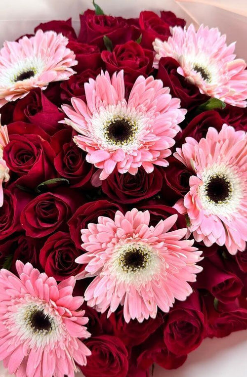 Ramo de 75 Rosas Rojas con Gerberas Rosas | Bon Gout Floristería