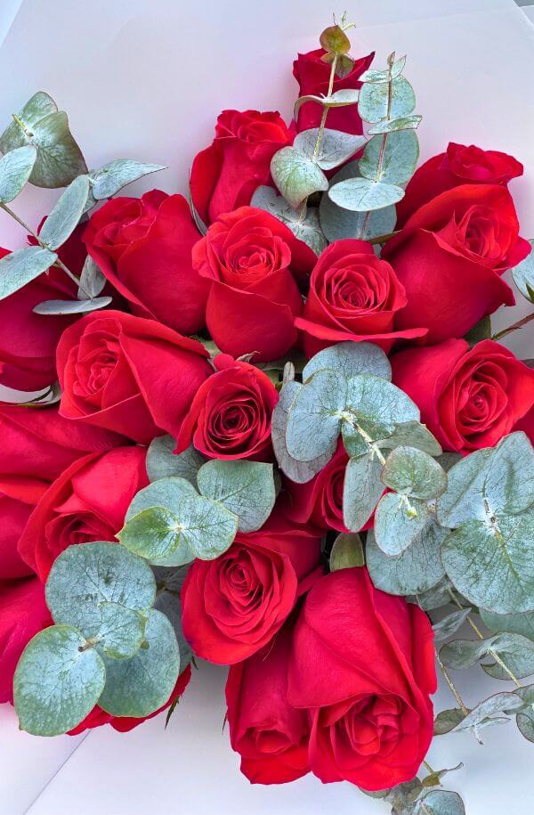 RamoRosasRojaspapelblancodola