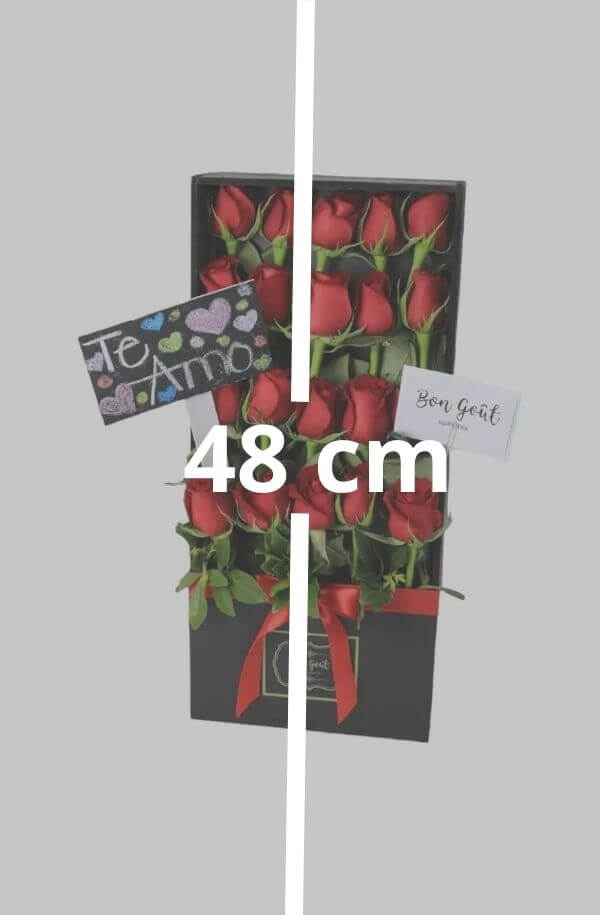 Caja con 25 Rosas de Invernadero #color_Rojo